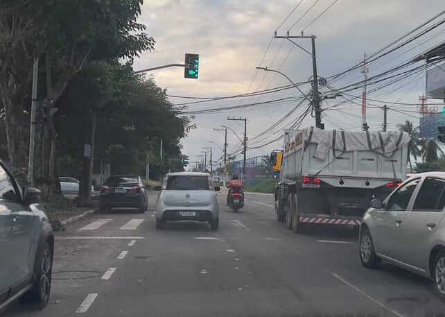 Prefeitura realiza podas de árvore na Alameda Dilson Jatahy Fonseca em Stella Maris