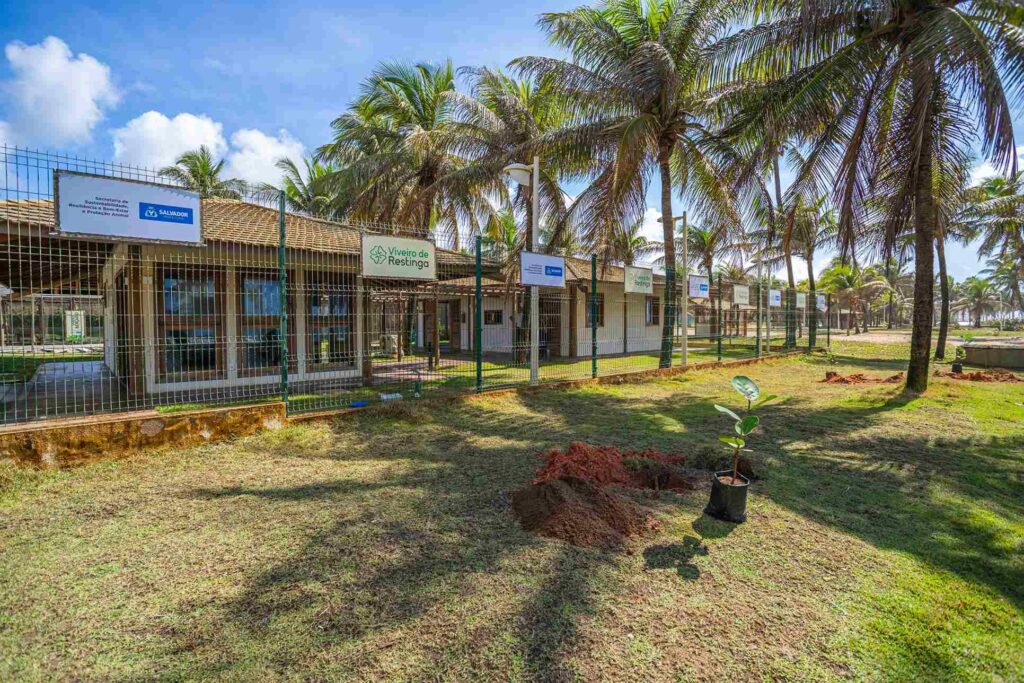 Plantio comunitário no Viveiro de Restinga reforça preservação ambiental em Praia do Flamengo