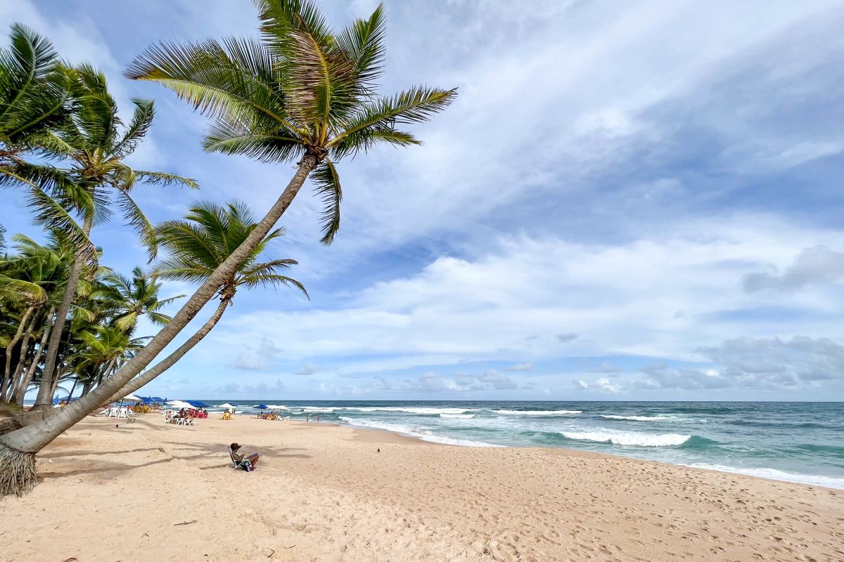 EXCLUSIVO: Plano Diretor de Salvador 2025–2028 destaca ações para Stella e Praia do Flamengo