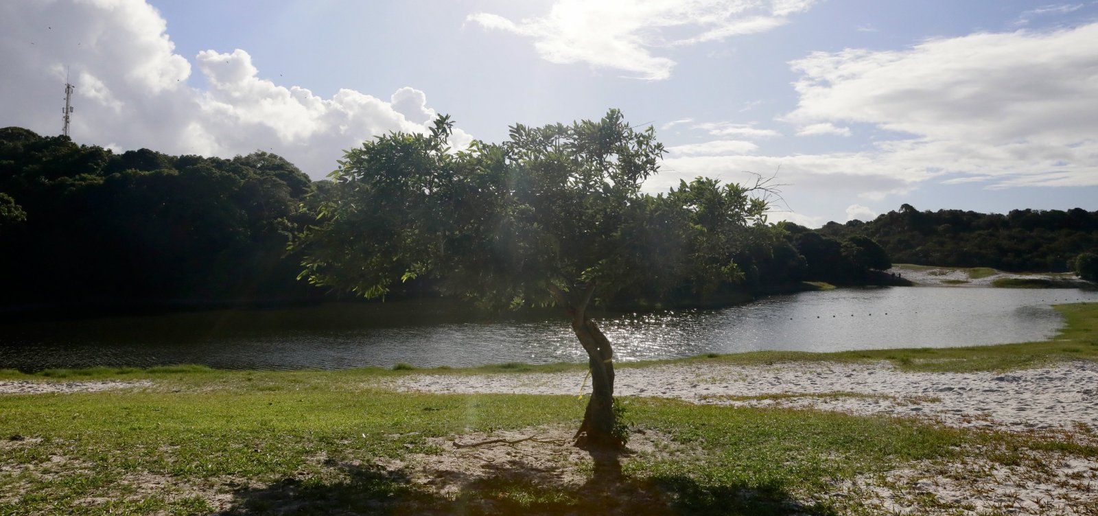 Descubra o novo Memorial do Abaeté: entrada gratuita e espaço reabre neste domingo