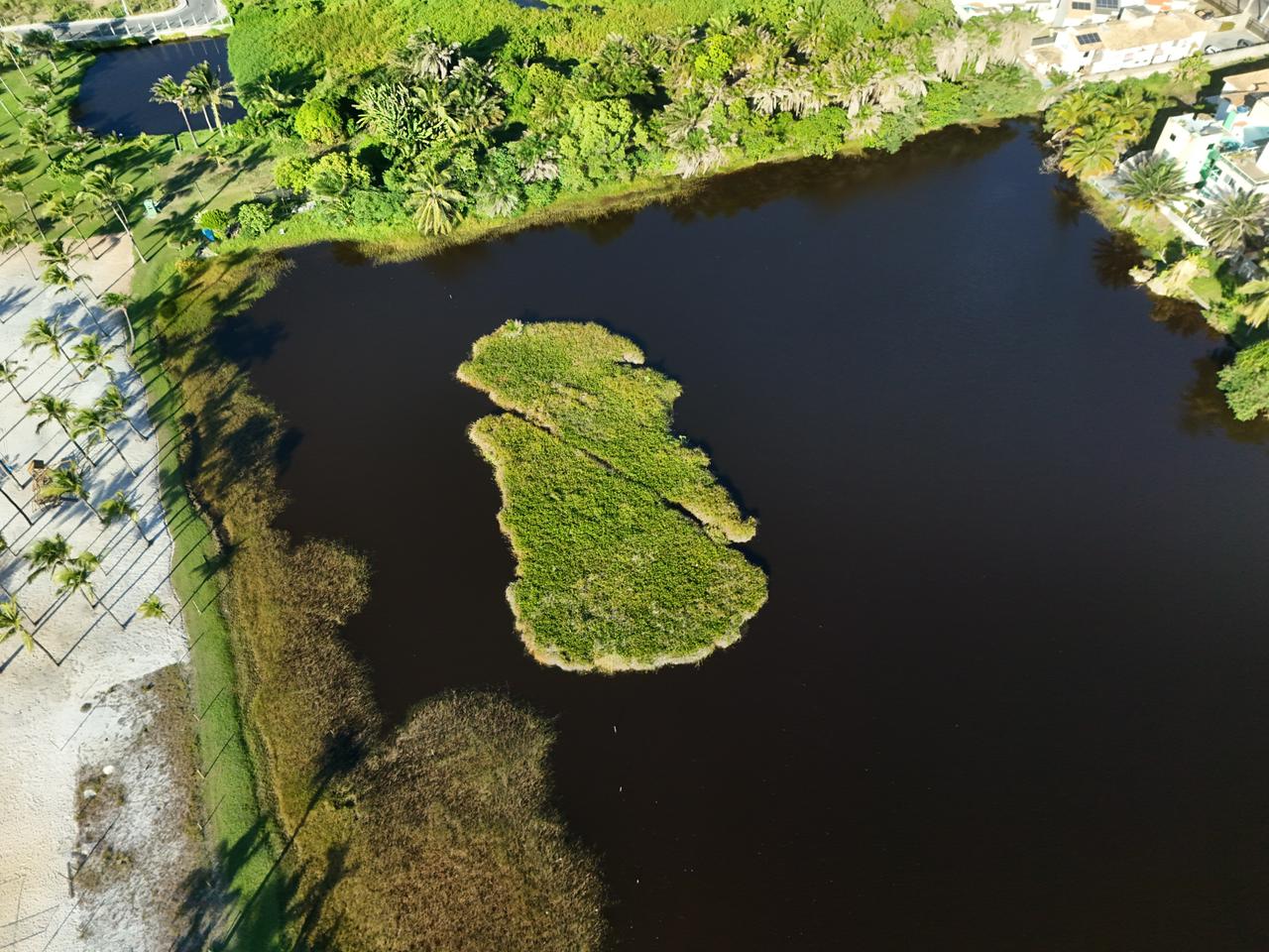 Movimento Rio Sapato Vivo fortalece ações de preservação ambiental com apoio da INFOSTELLA