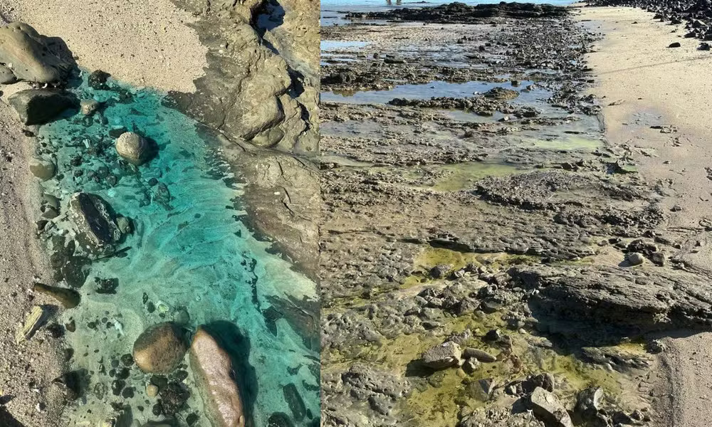 São Tomé: multas de R$70 milhões e pescadores sem renda após manchas na praia