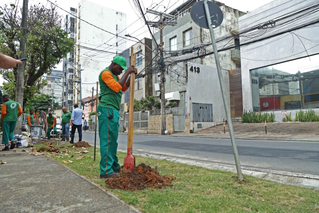 Prefeitura planta 10 mudas no Porto da Barra e reforça arborização na orla