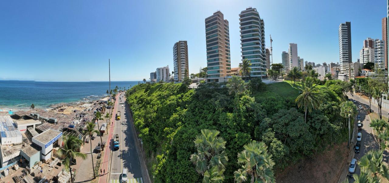 Observatório do PDDU de Salvador defende dispositivo no plano diretor para blindar áreas verdes públicas