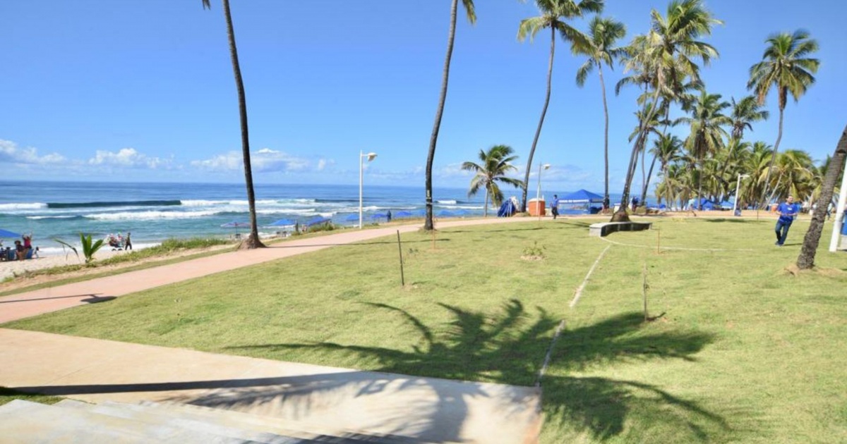 Ataque em Stella Maris: idoso de 79 anos é mordido por pitbull na praia