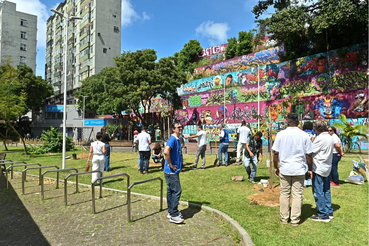 Salvador planta 21 árvores e inicia nova fase de revitalização na Barroquinha