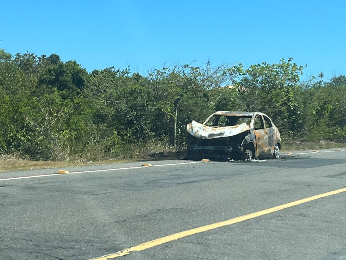 Carro completamente queimado chama atenção na Praia do Flamengo; amplie