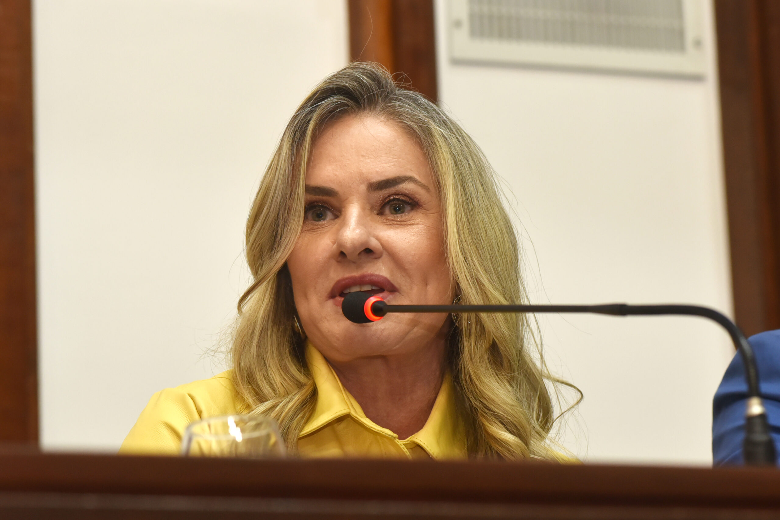 Ivana Bastos lidera ranking de votos na Bahia; confira os 63 eleitos para a AL-BA