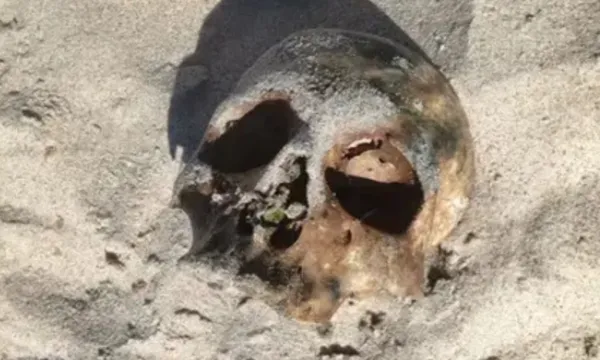 Assustador achado em Salvador: crânio aparece na areia de Itapuã